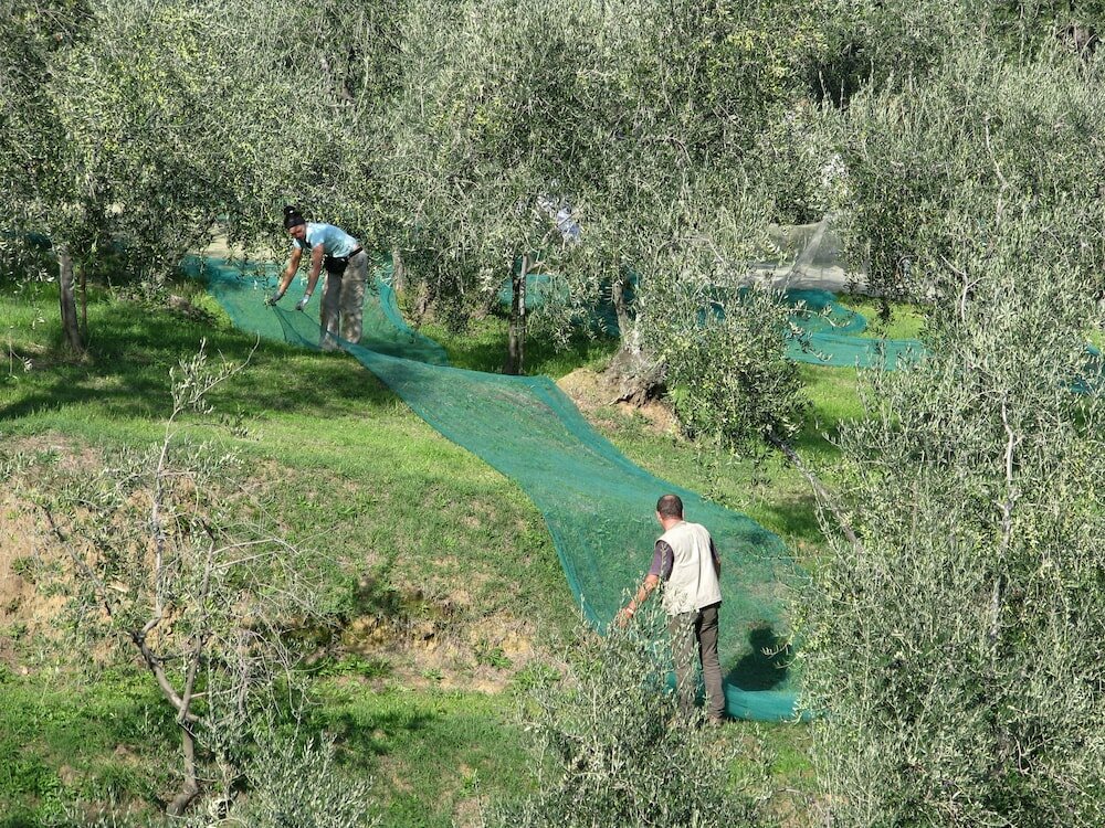 Фото Мини-отель La Piana