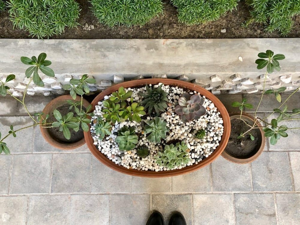 Фото Hotel Saluja