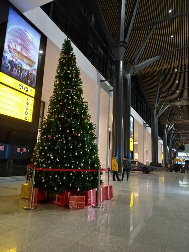 Гостиница Airport Hotel в Астане