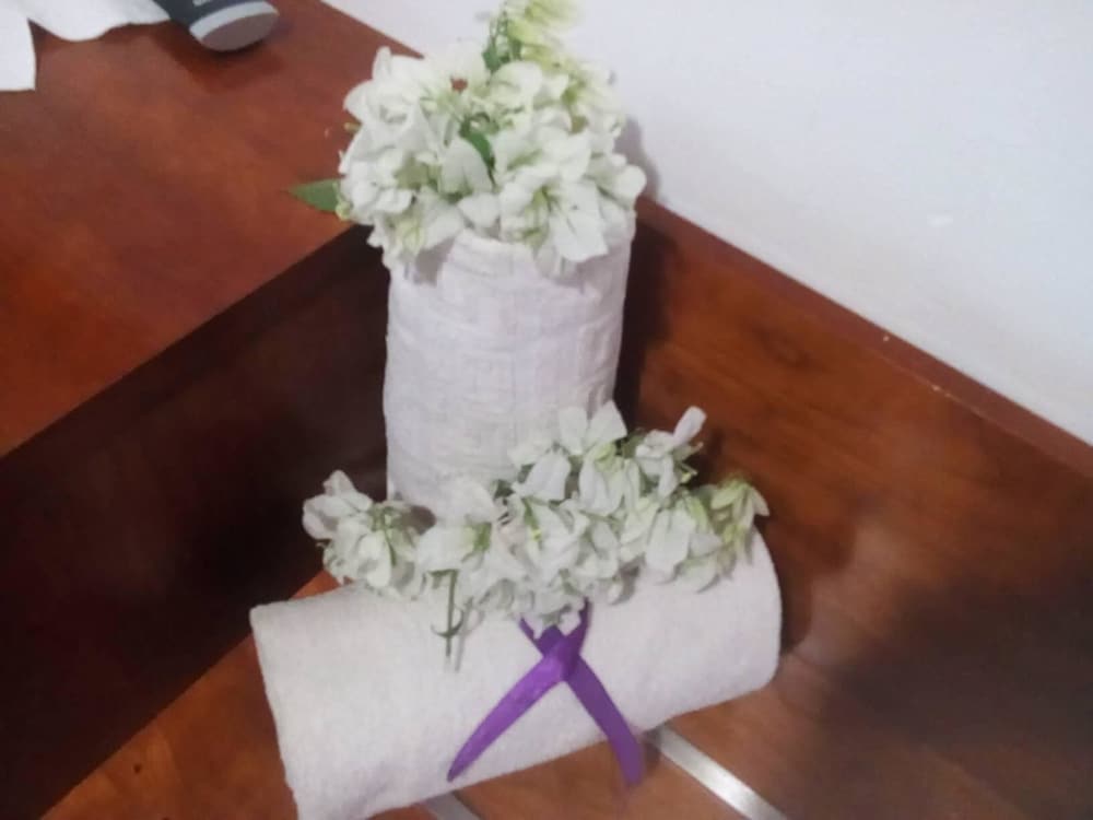 Фото Hotel Limeira