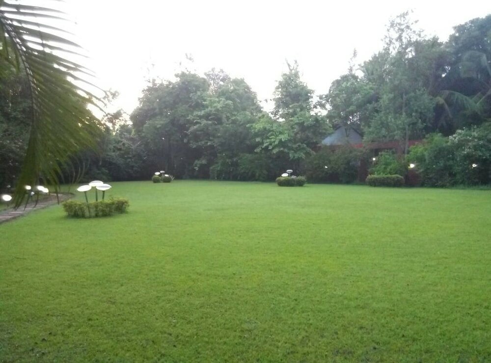 Фото Mark & Meadows