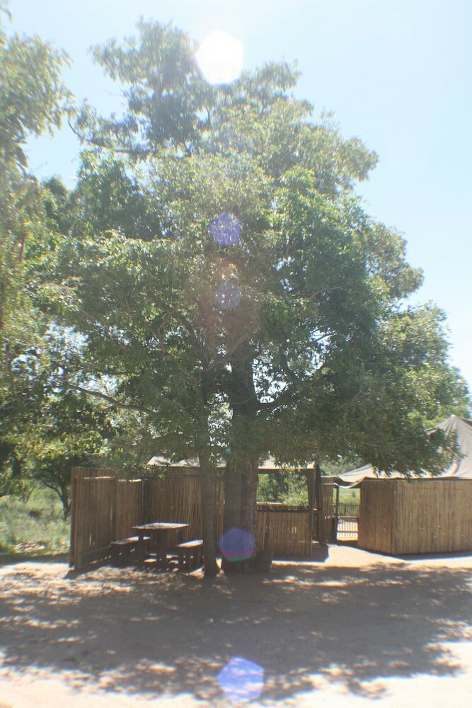 Фото Distinctly Africa - Manyeleti