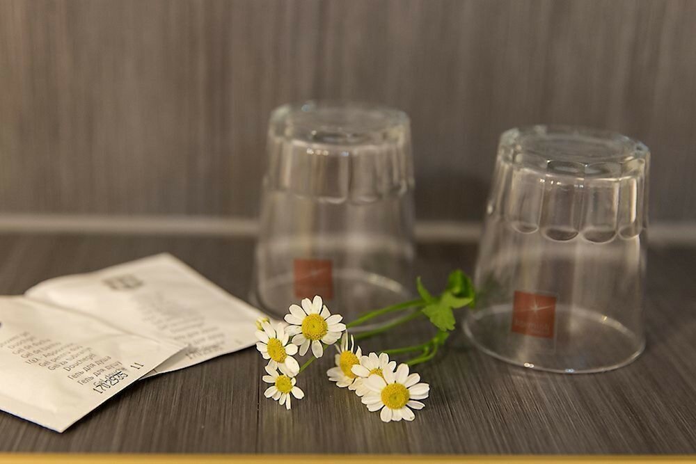 Фото Hotel und Restaurant Mühlenhof