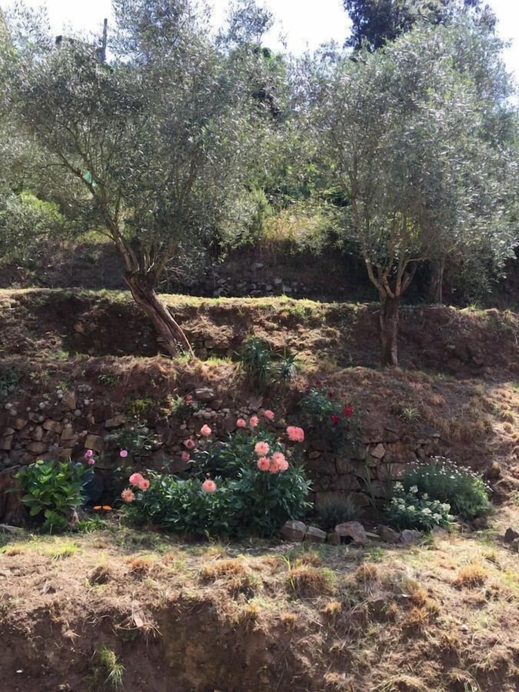 Фото Il Capriolo Bed&Breakfast