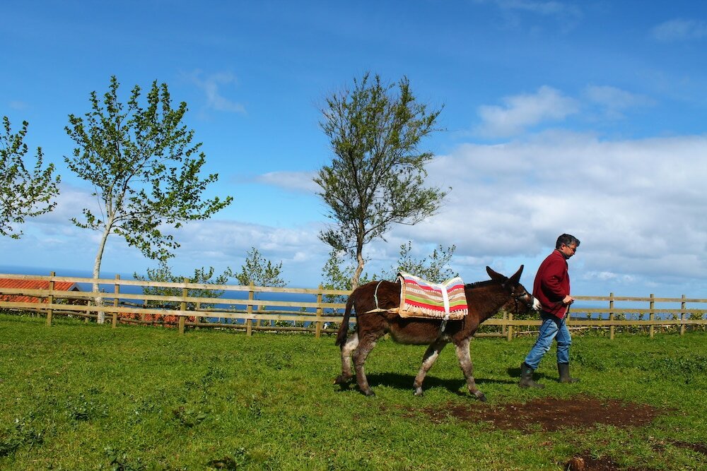 Фото Casas D'Arramada - Rural Tourism