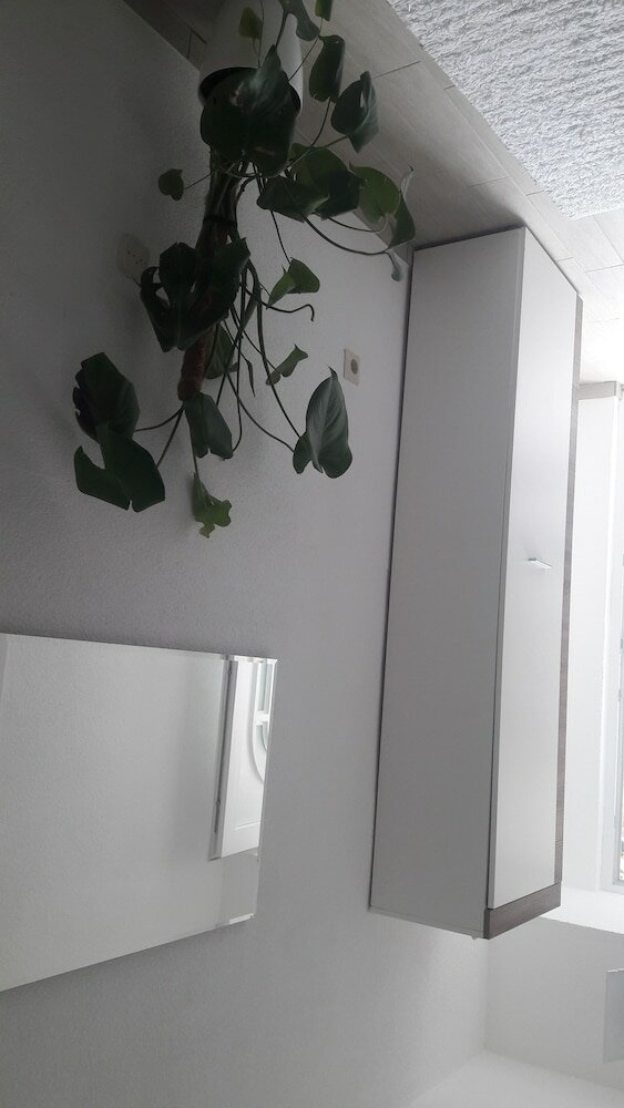 Фото Ivana Apartments