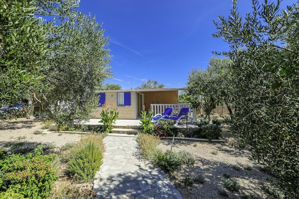 Фото Olive Garden Camp Resort