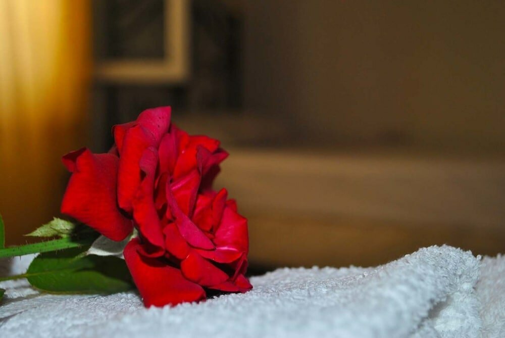 Фото Villa Butterfly by Amy Villas