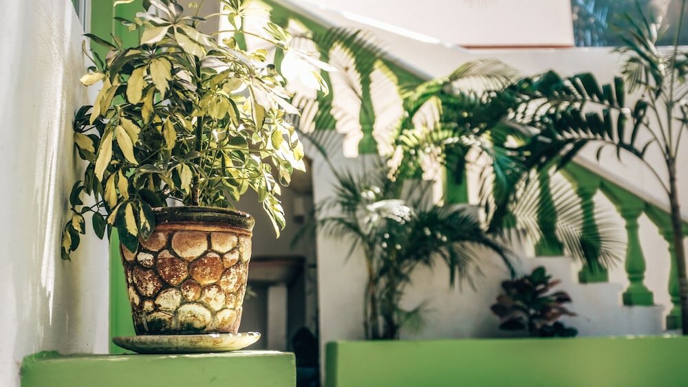 Фото Hotel Mundo Maya