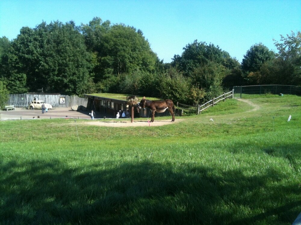 Фото Gästehaus Peterhoff