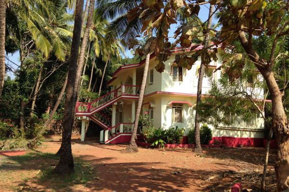 Фото Dream Residence