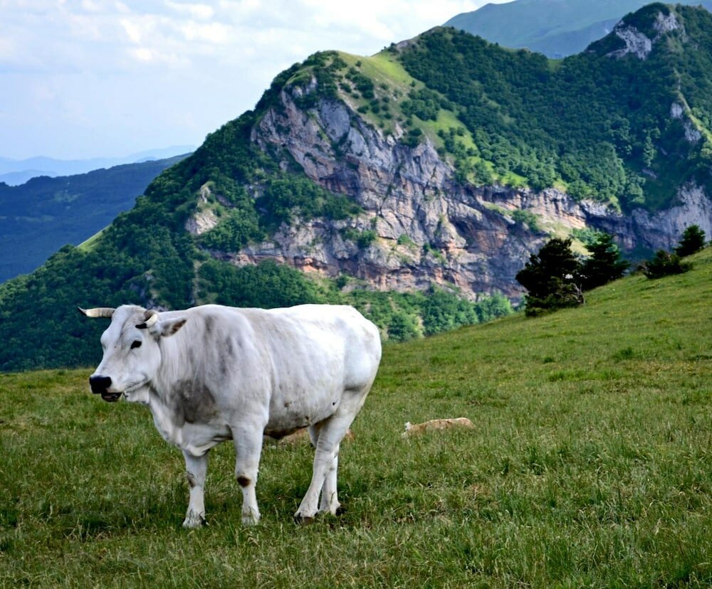 Фото Locanda della Rocca