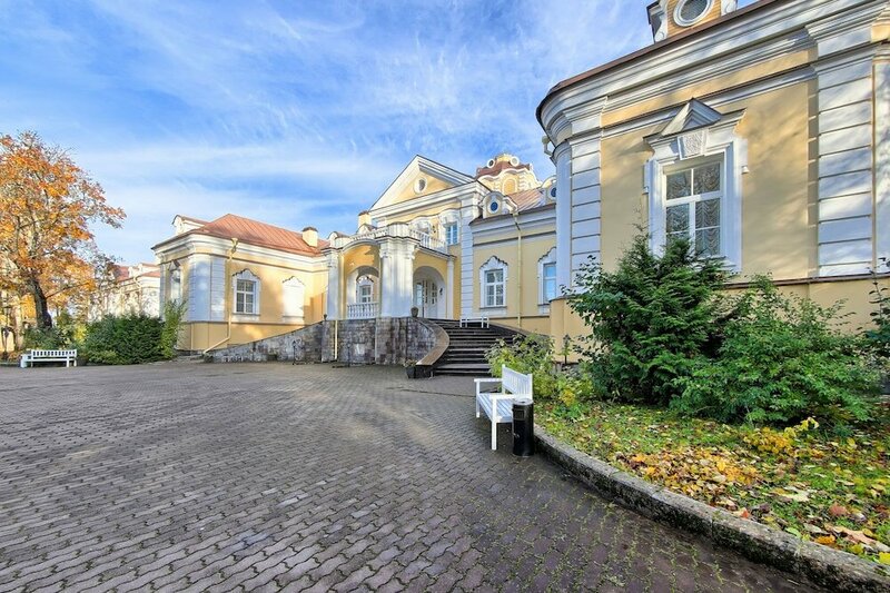 Дворец Елизаветино — фото 30