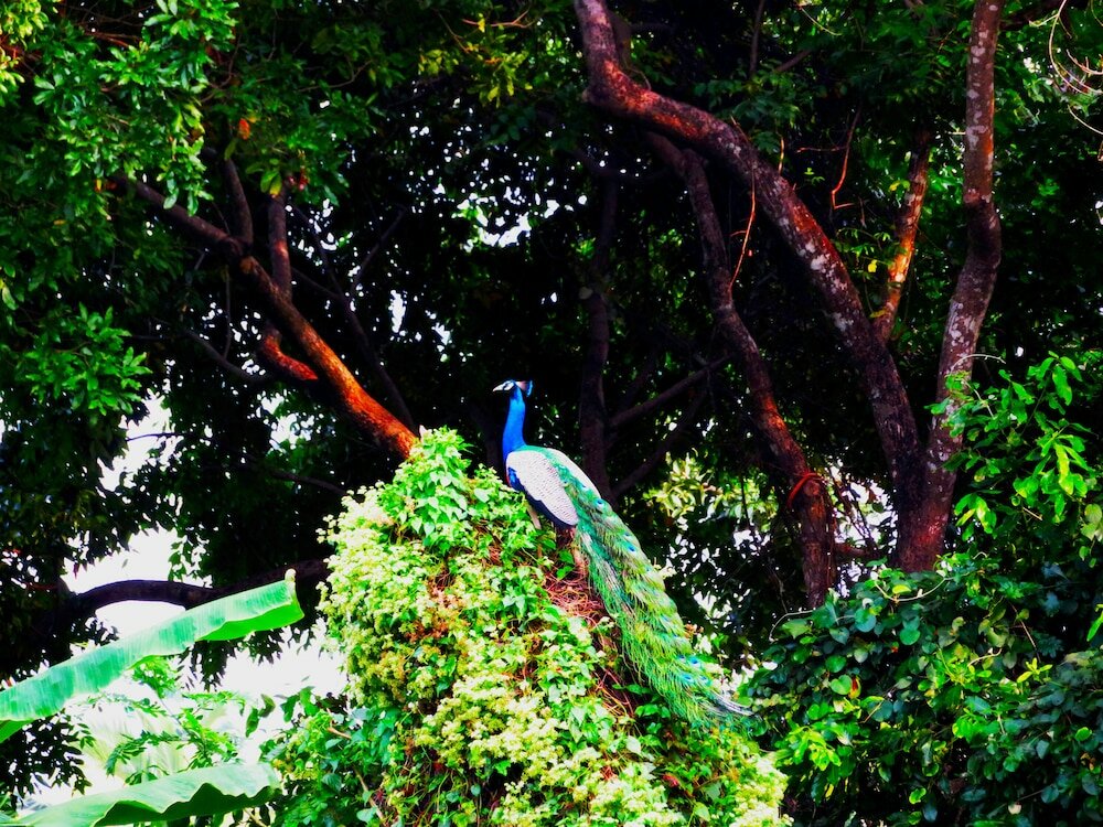 Фото Stream View Family Resort