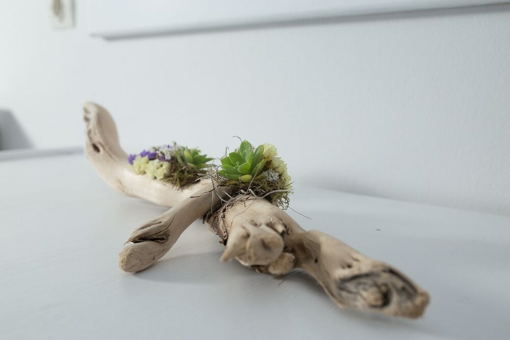 Фото Akti Hotel & Apartments