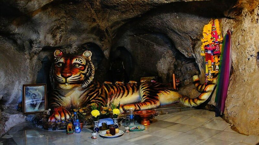 Фото Otter House