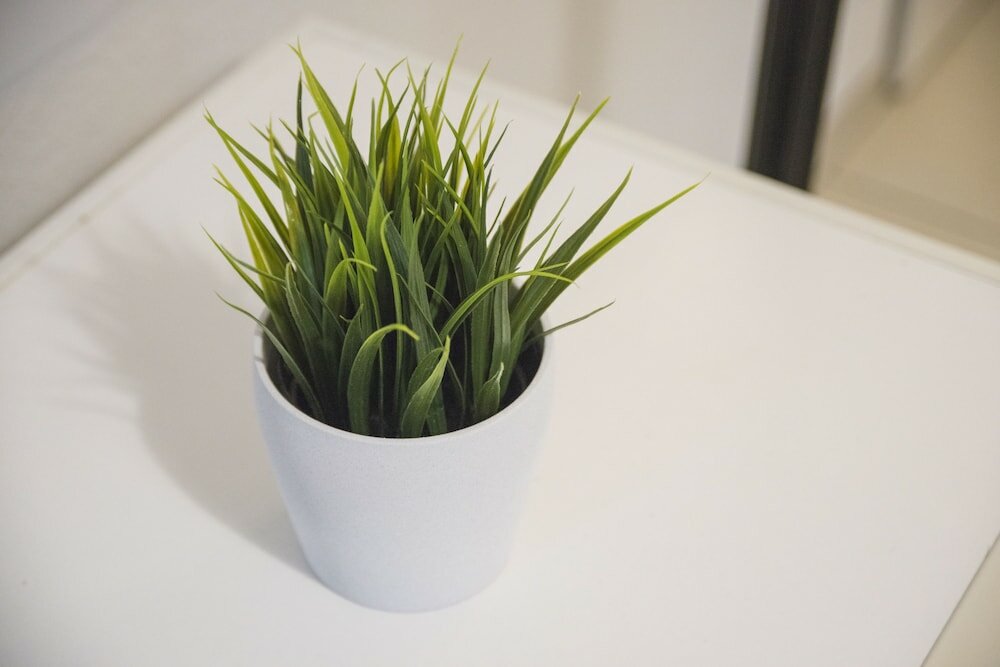 Фото Düsseldorf Comfort Apartment