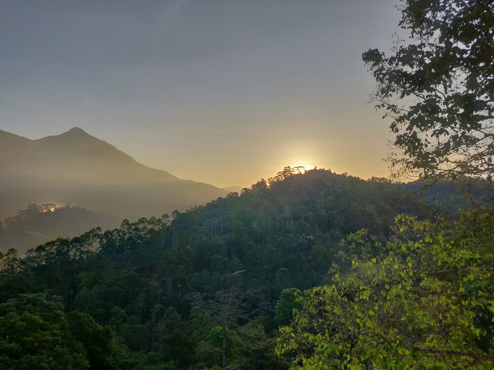 Фото The New Munnar Summer Castle