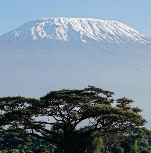 Гостиница Kimana Amboseli Camp