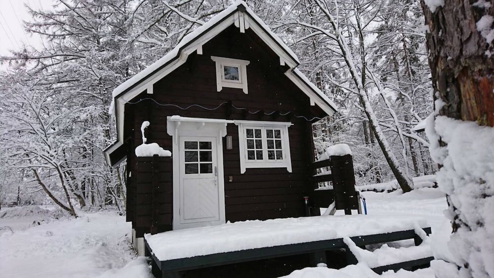 Фото Beaver Lodge Hakuba