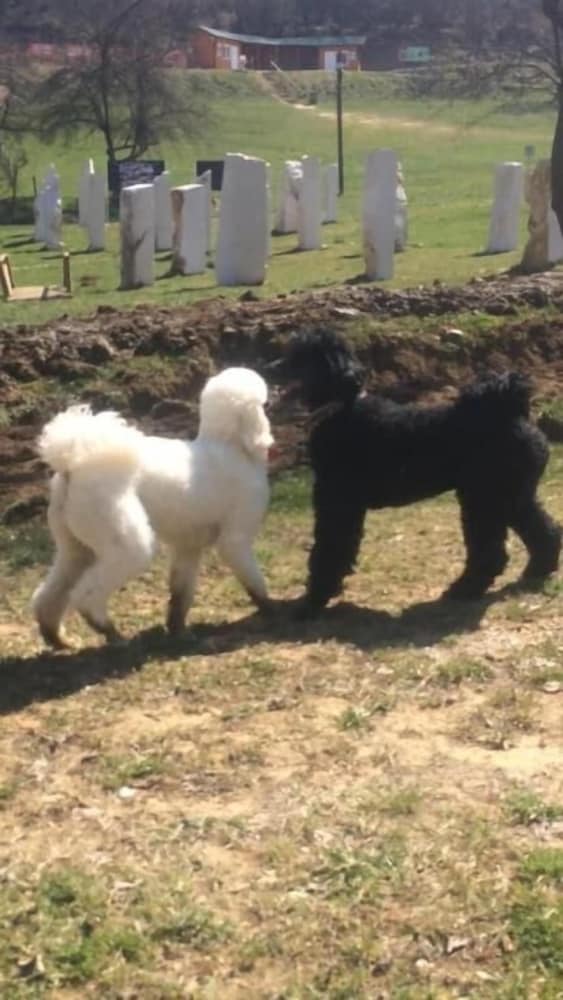 Фото Apartment Red House