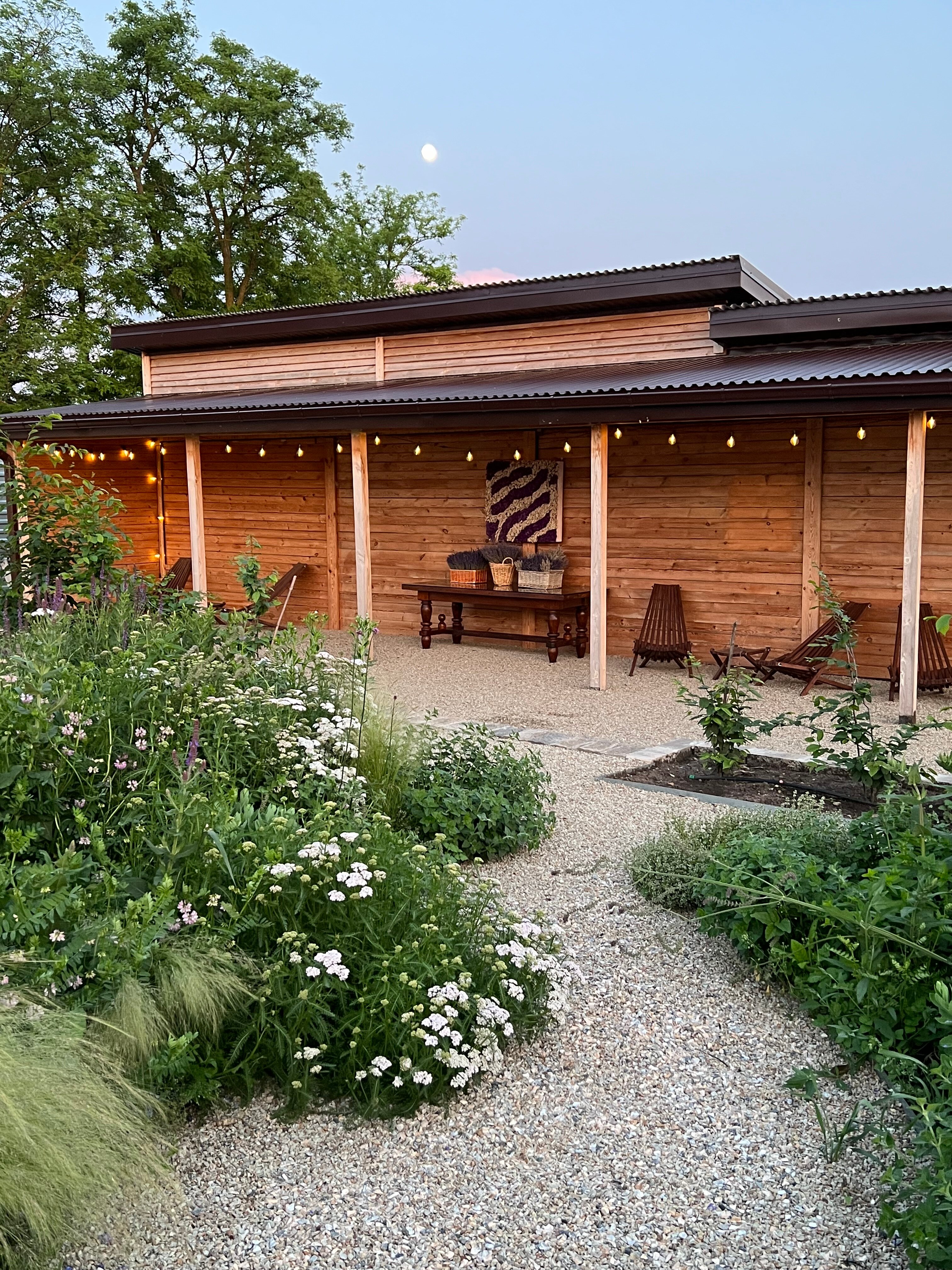 Фото Лавандовые холмы