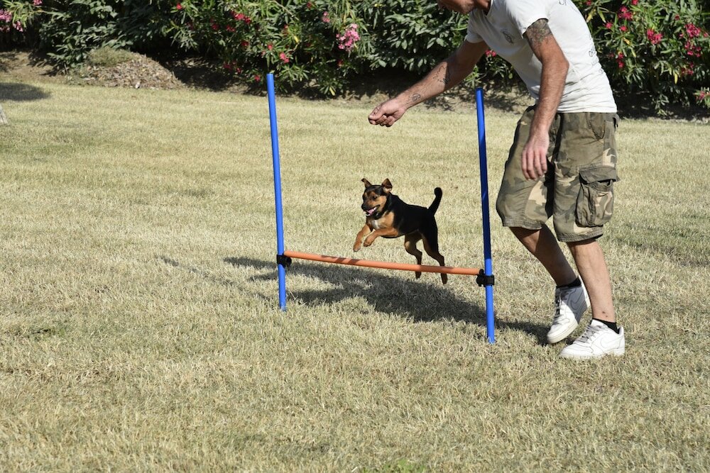 Фото Centro Vacanze Camping Spinnaker