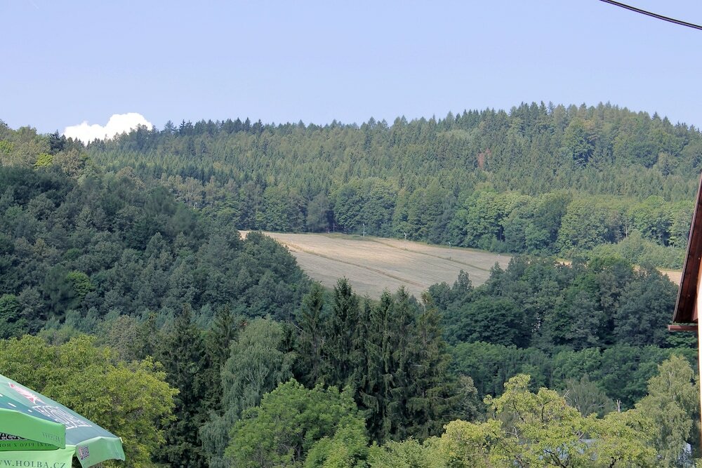 Фото Hotel Pod Jedlovým vrchem