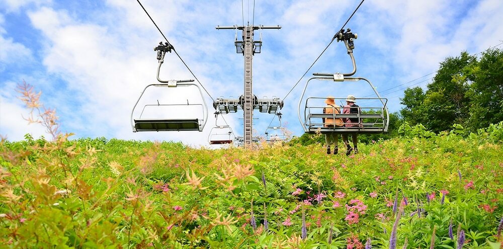 Фото Pension Ohayo