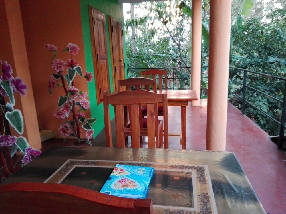 Фото New Green View