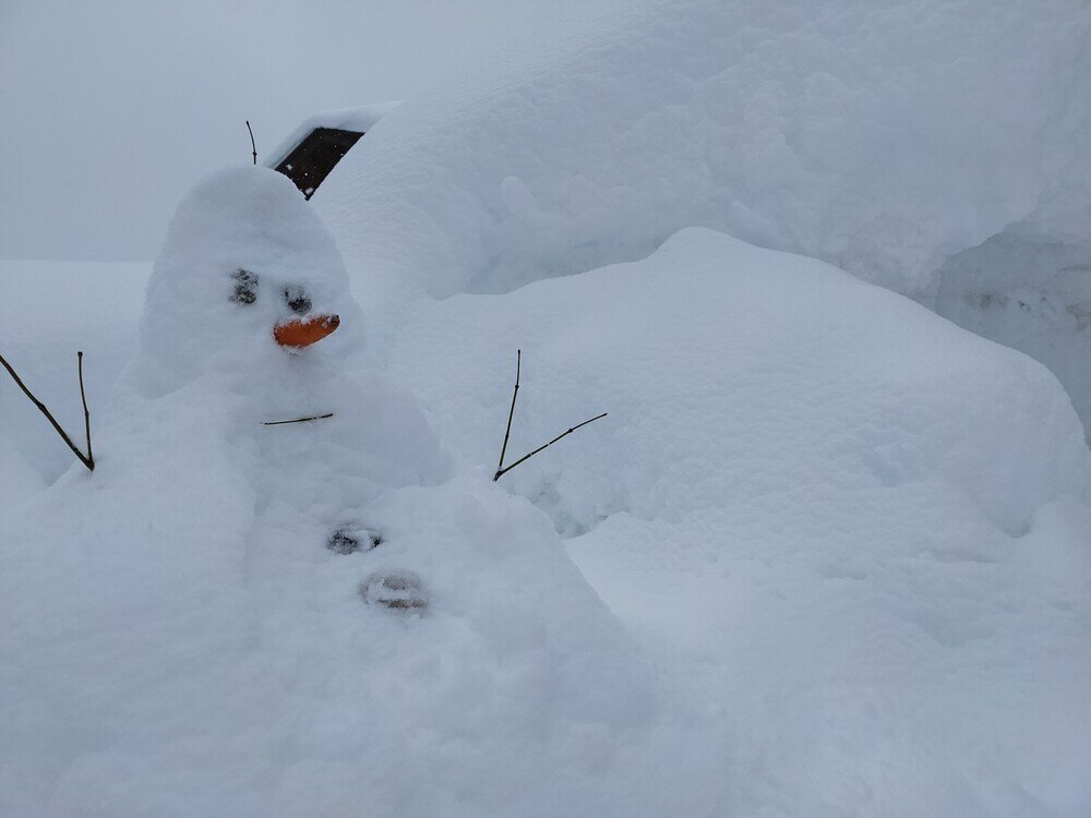 Фото Madarao Mountain Lodge