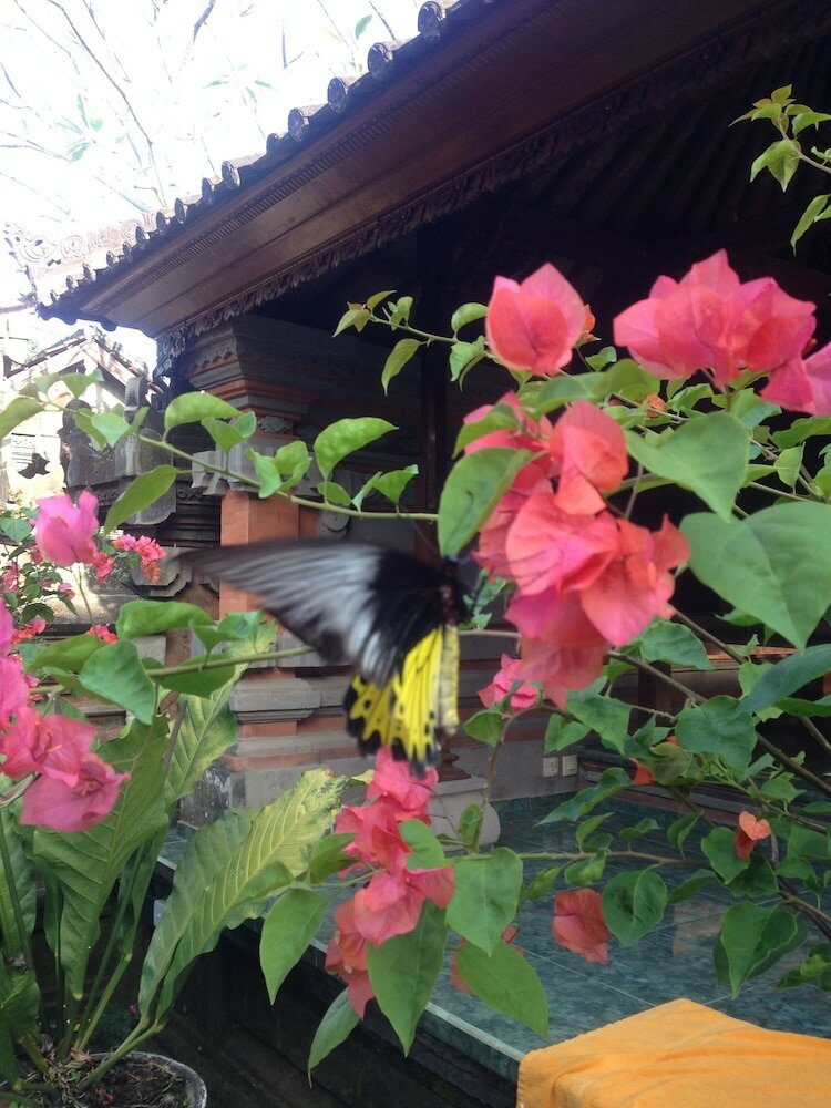 Фото Wina Ubud B&b