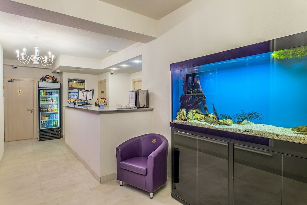 Фото Алекс Отель