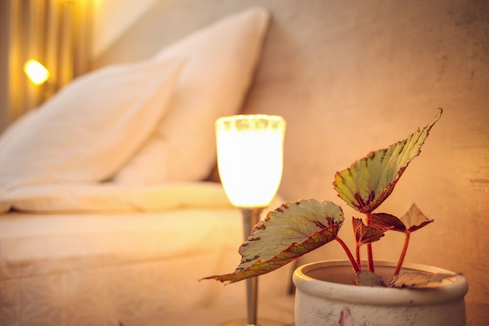 Фото Hotel Kenari