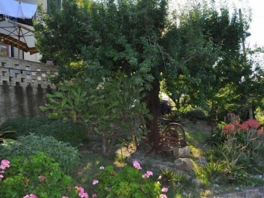 Фото Il Terrazzo sul Sinni