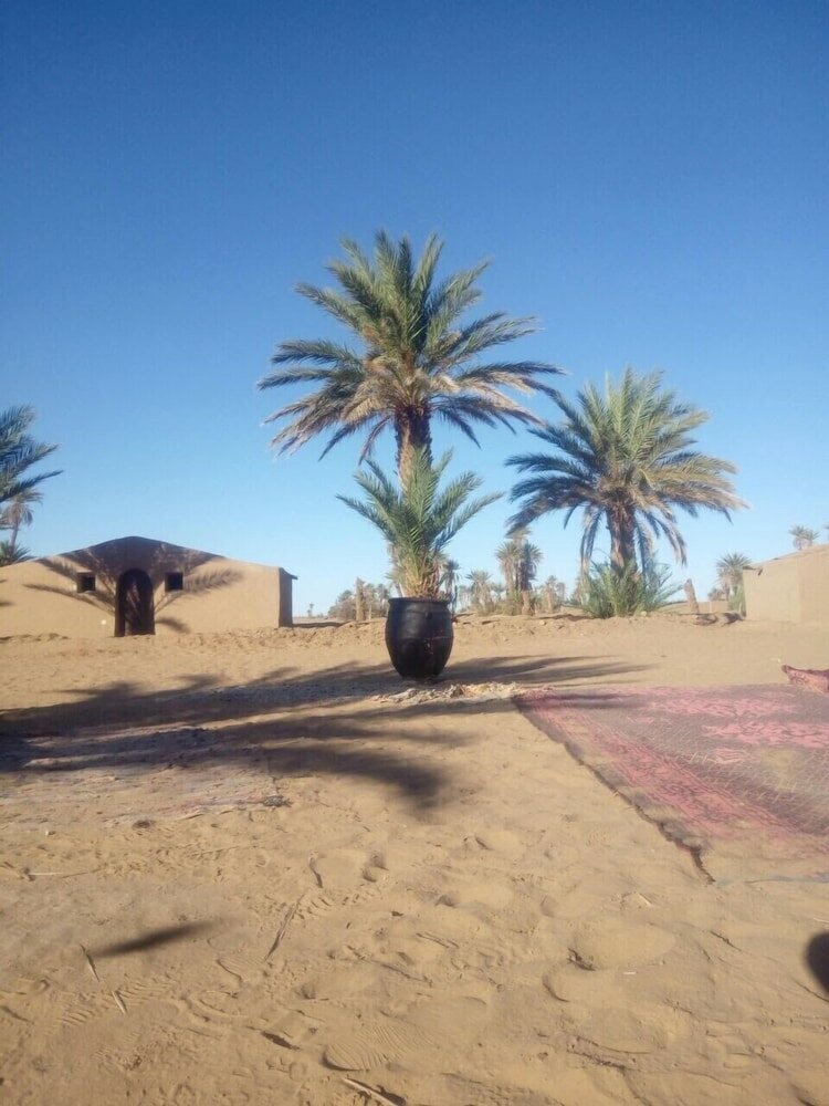 Фото Camp Sahara Nights