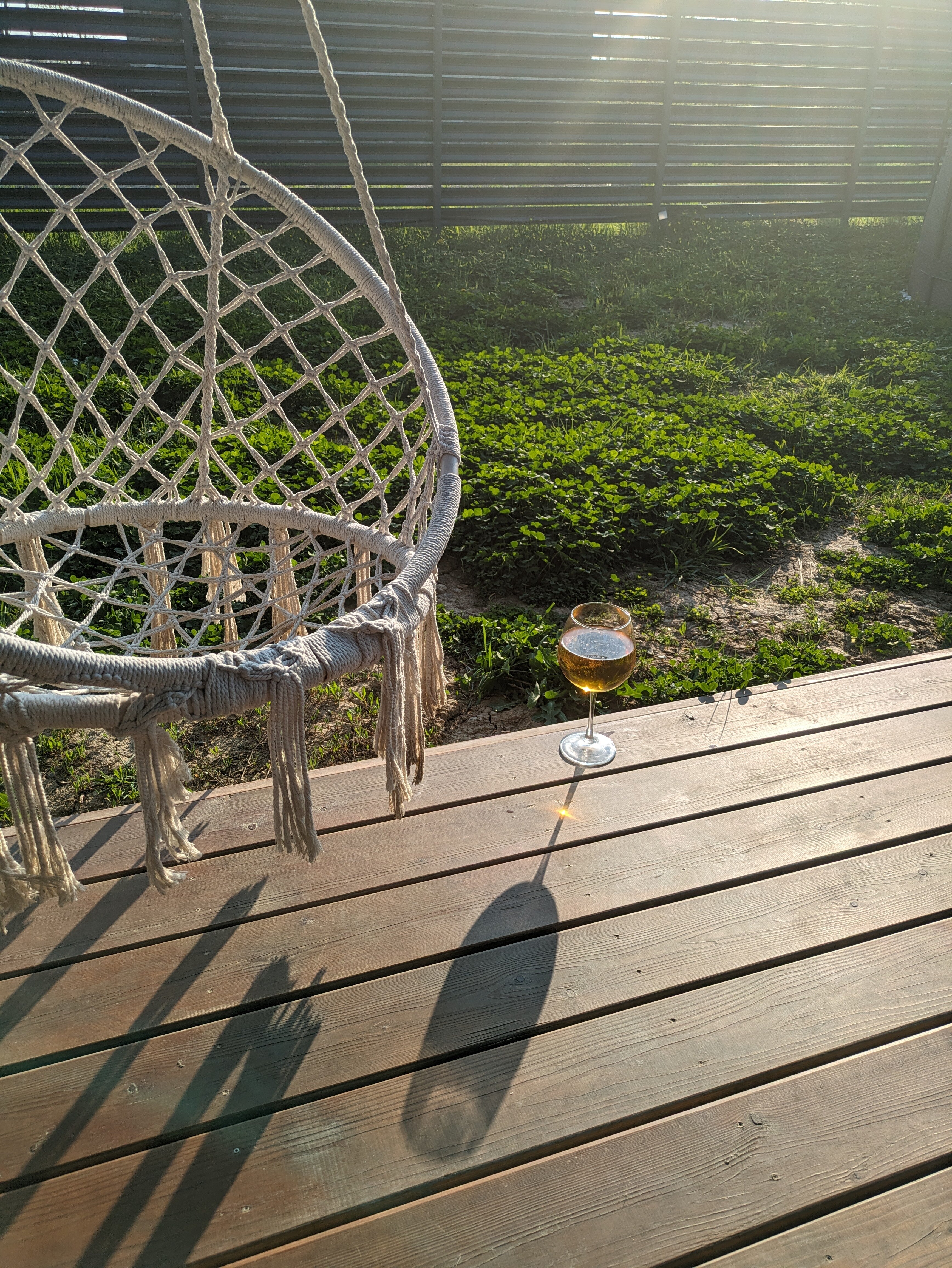 Фото Собер Дача