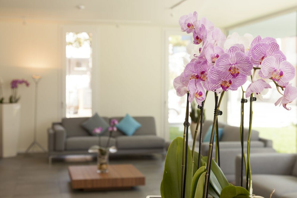 Фото Hotel Panama