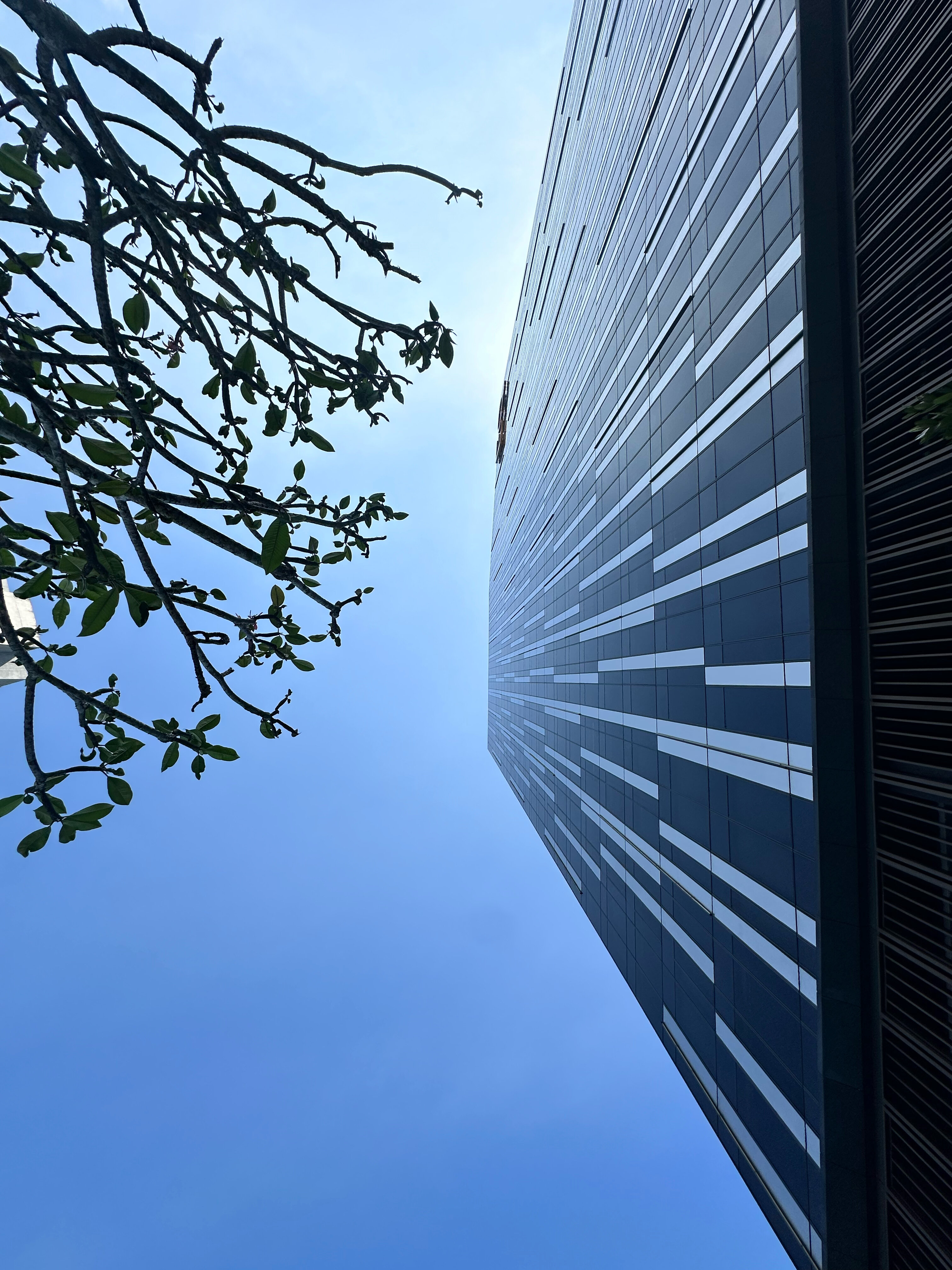 Фото W Kuala Lumpur