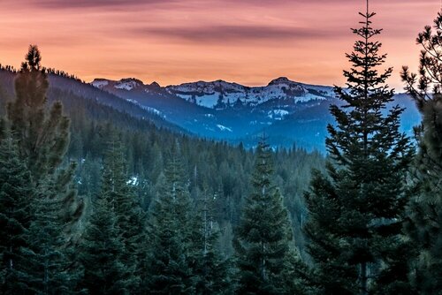 Гостиница Glacier Forest Getaway