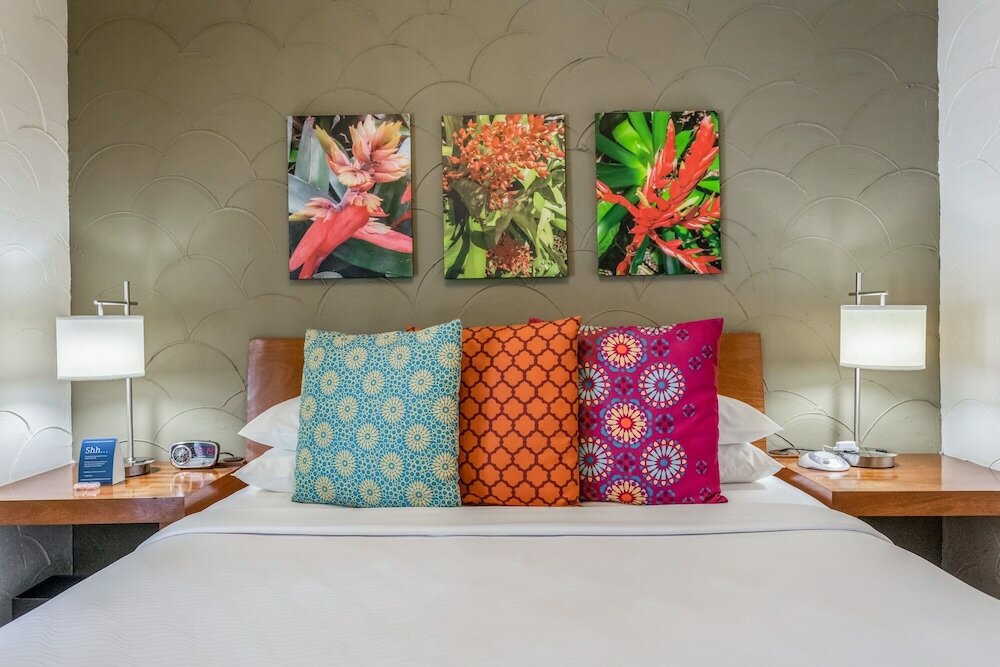 Фото Kasa El Paseo Miami Beach