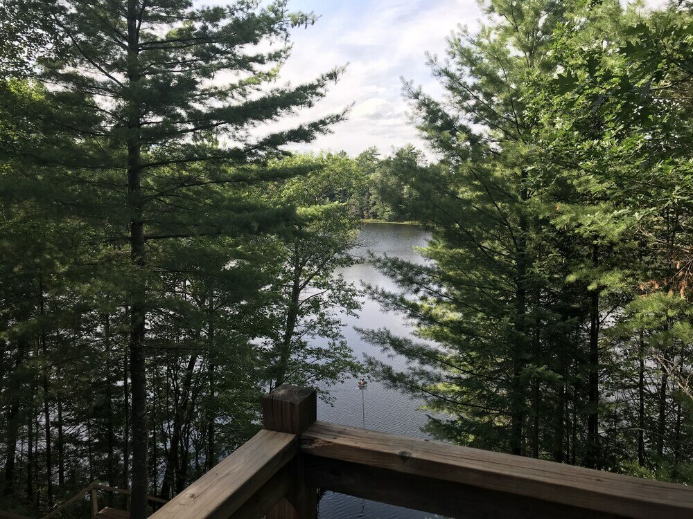 Фото Iggy & Al's Treehouse