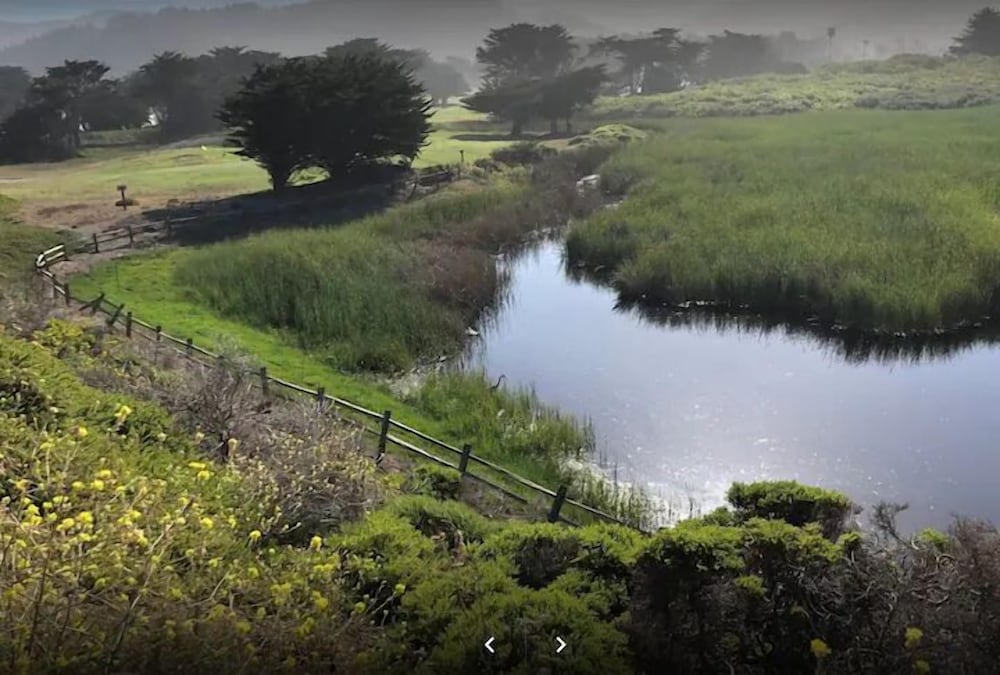 Фото Pacifica Homes