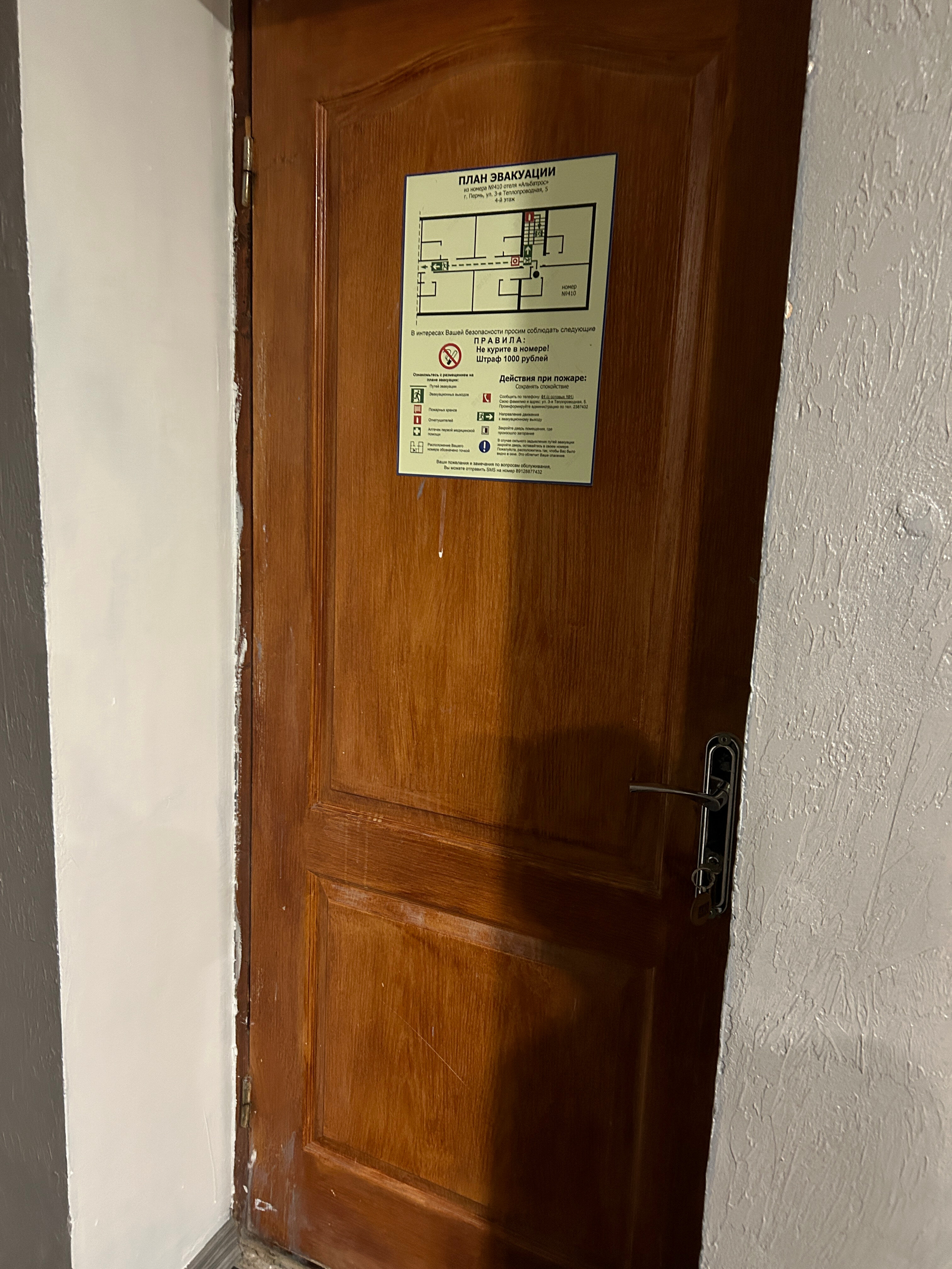 Фото Альбатрос