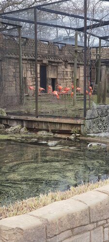Zoo Toronto Zoo, Toronto, photo