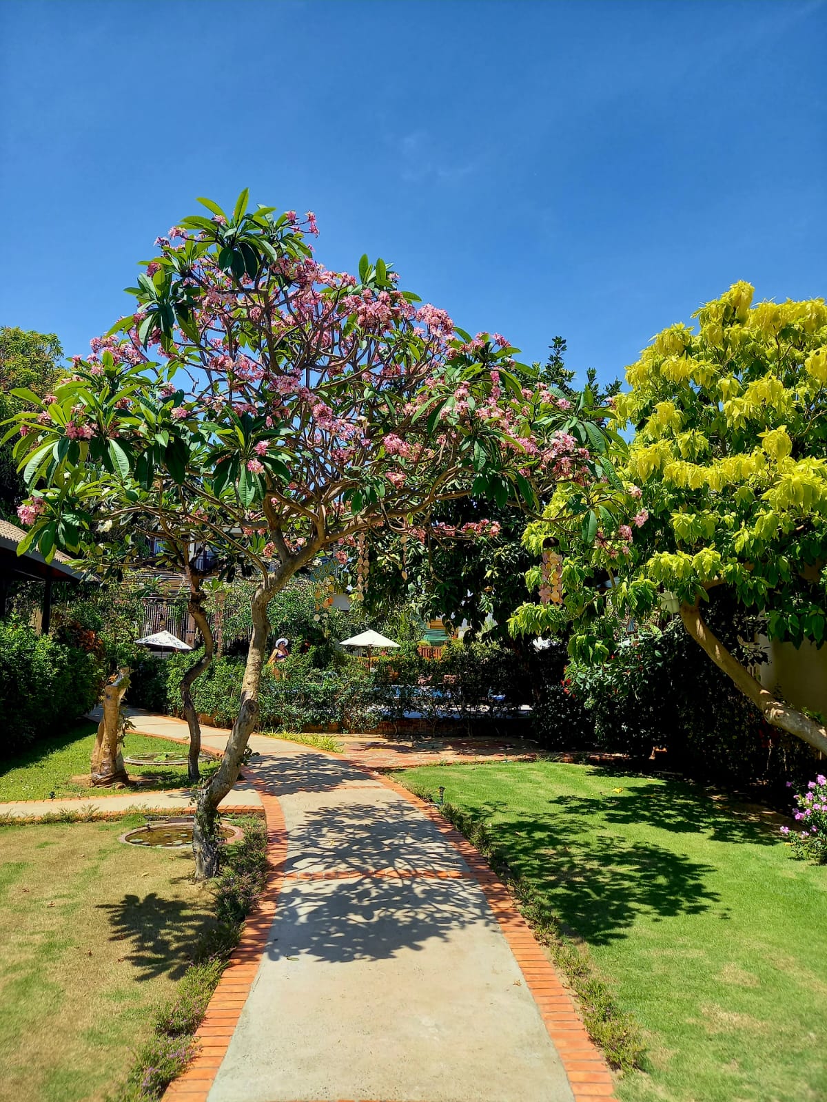 Фото Bao Quynh Bungalow Mui Ne