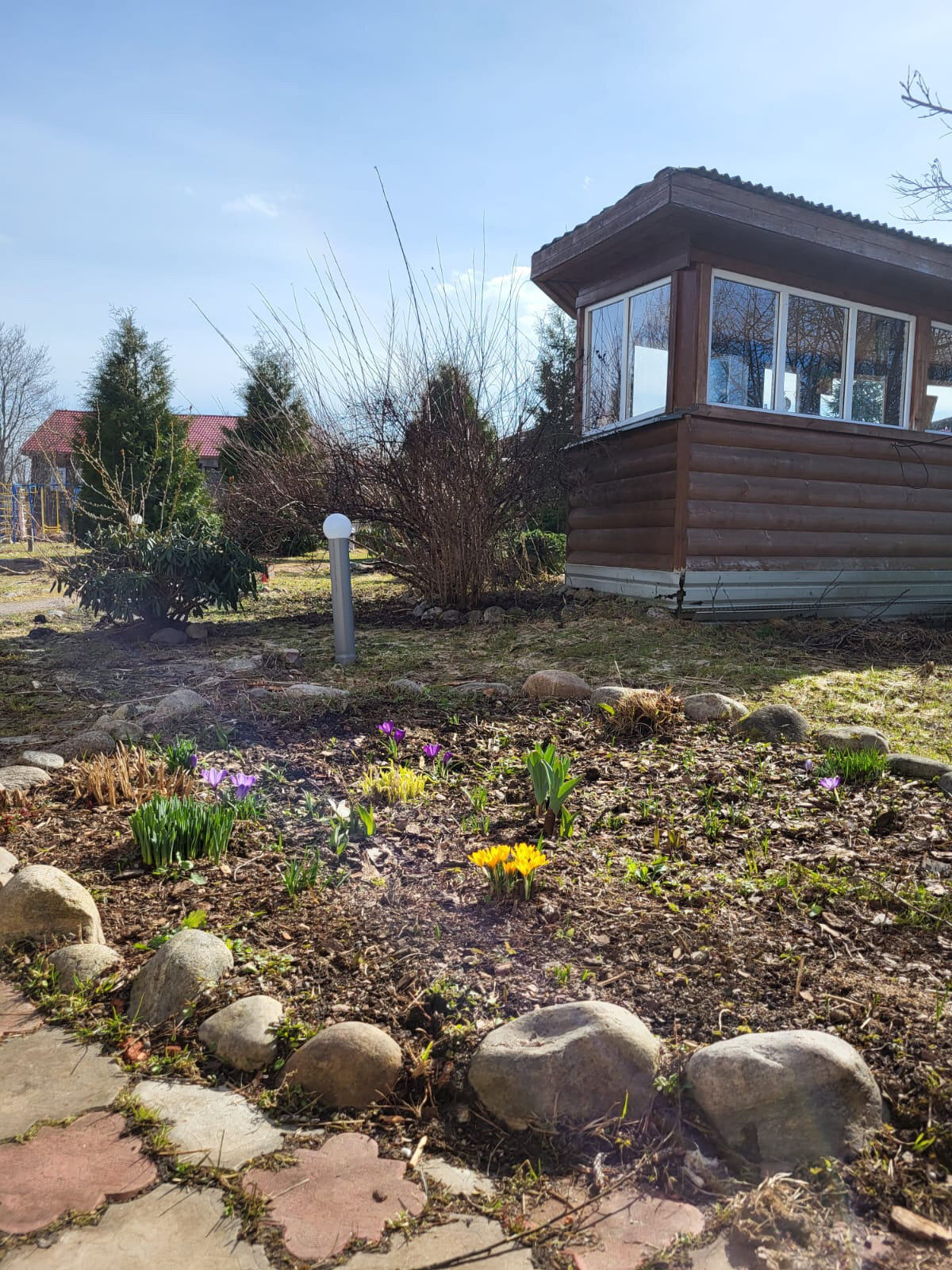 Фото Плотично