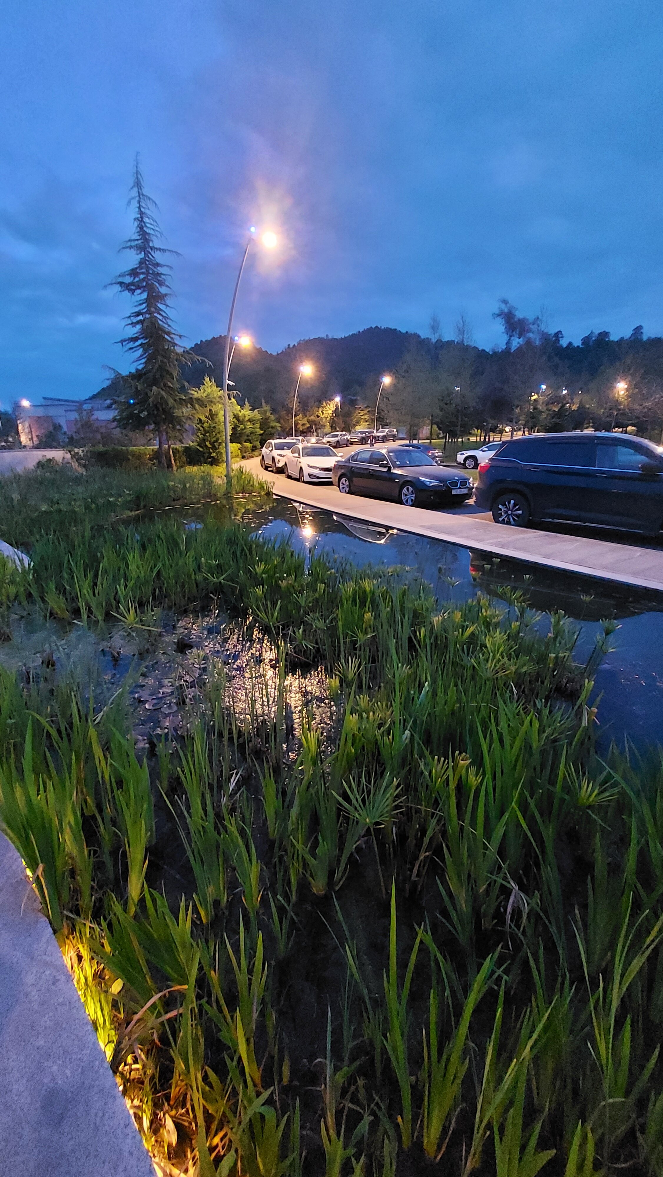 Фото Lankaran Springs Wellness Resort