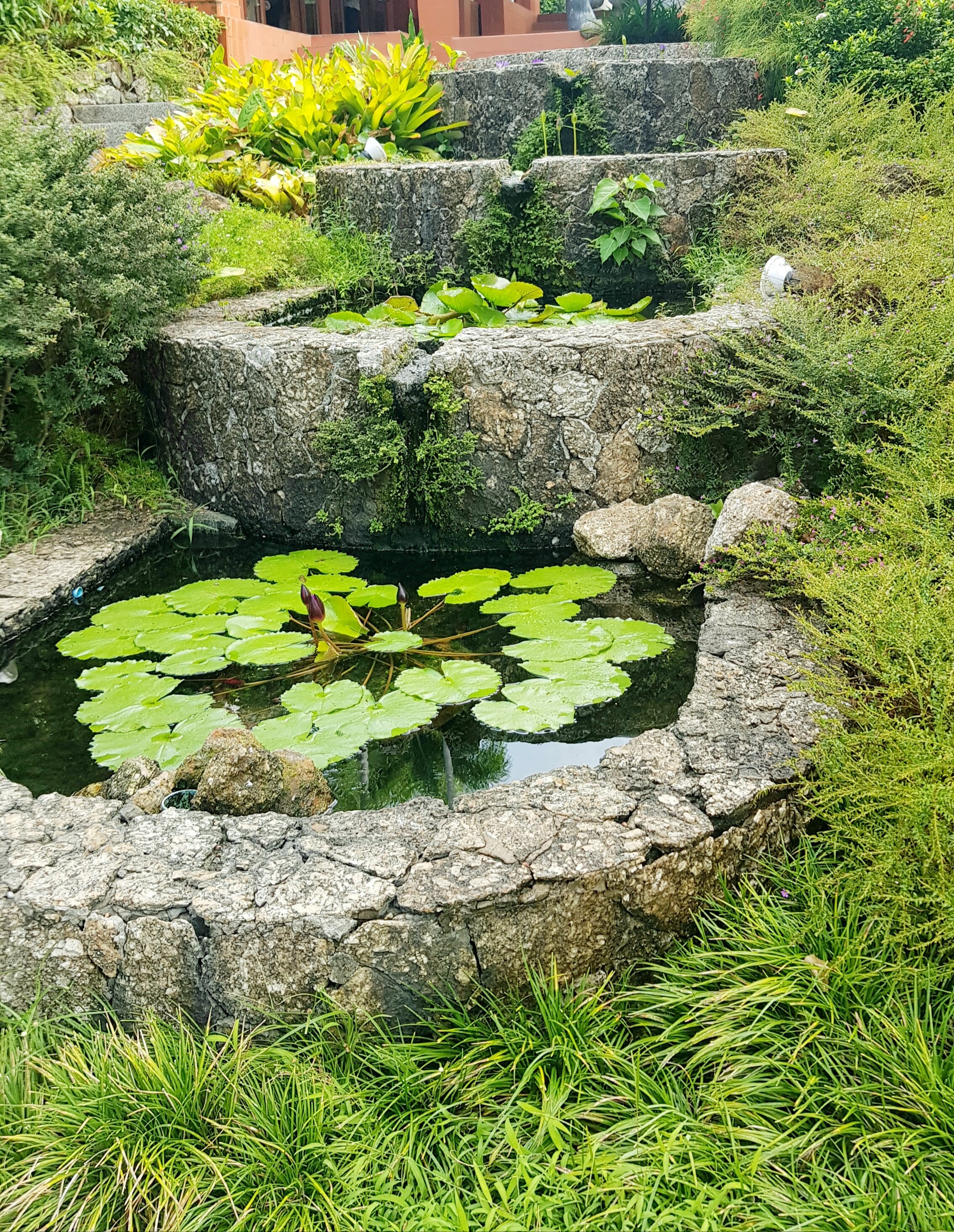 Фото Mom Tri's Villa Royale