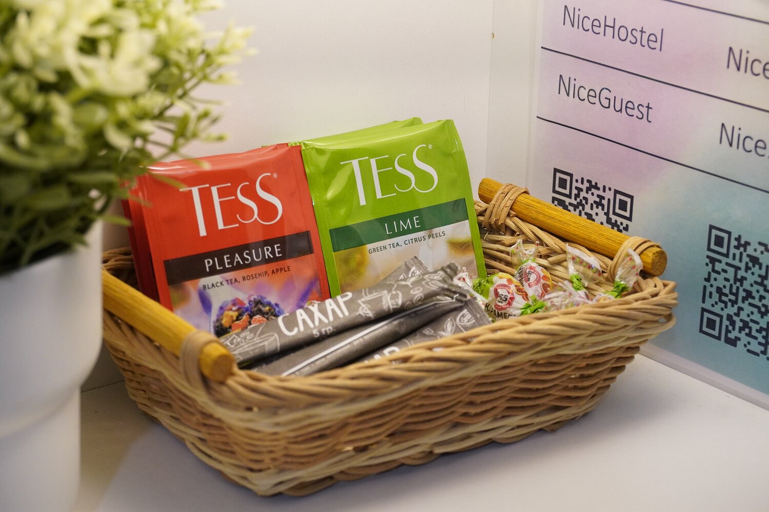 Фото Найсвилс